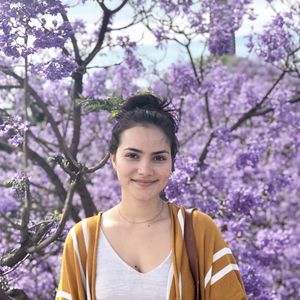 Meet your Posher, Taylor